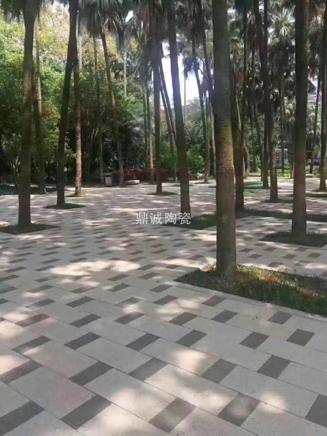 透水砖实景 透水砖实景