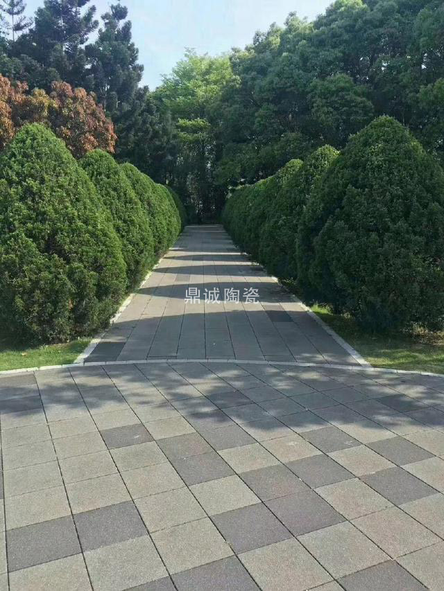 透水砖实景 透水砖实景