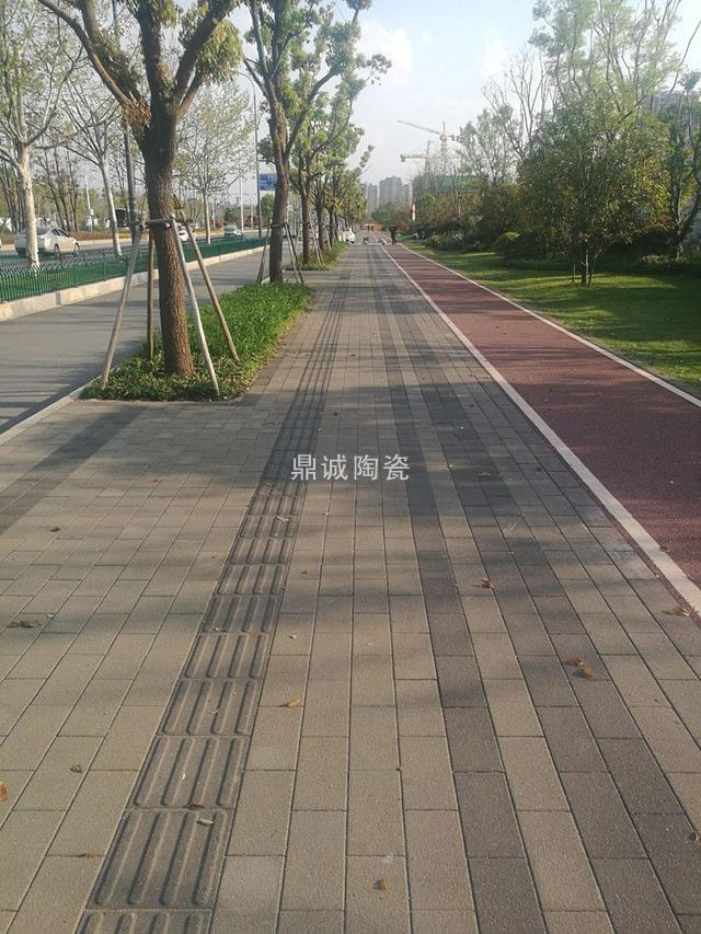 透水砖实景 透水砖实景